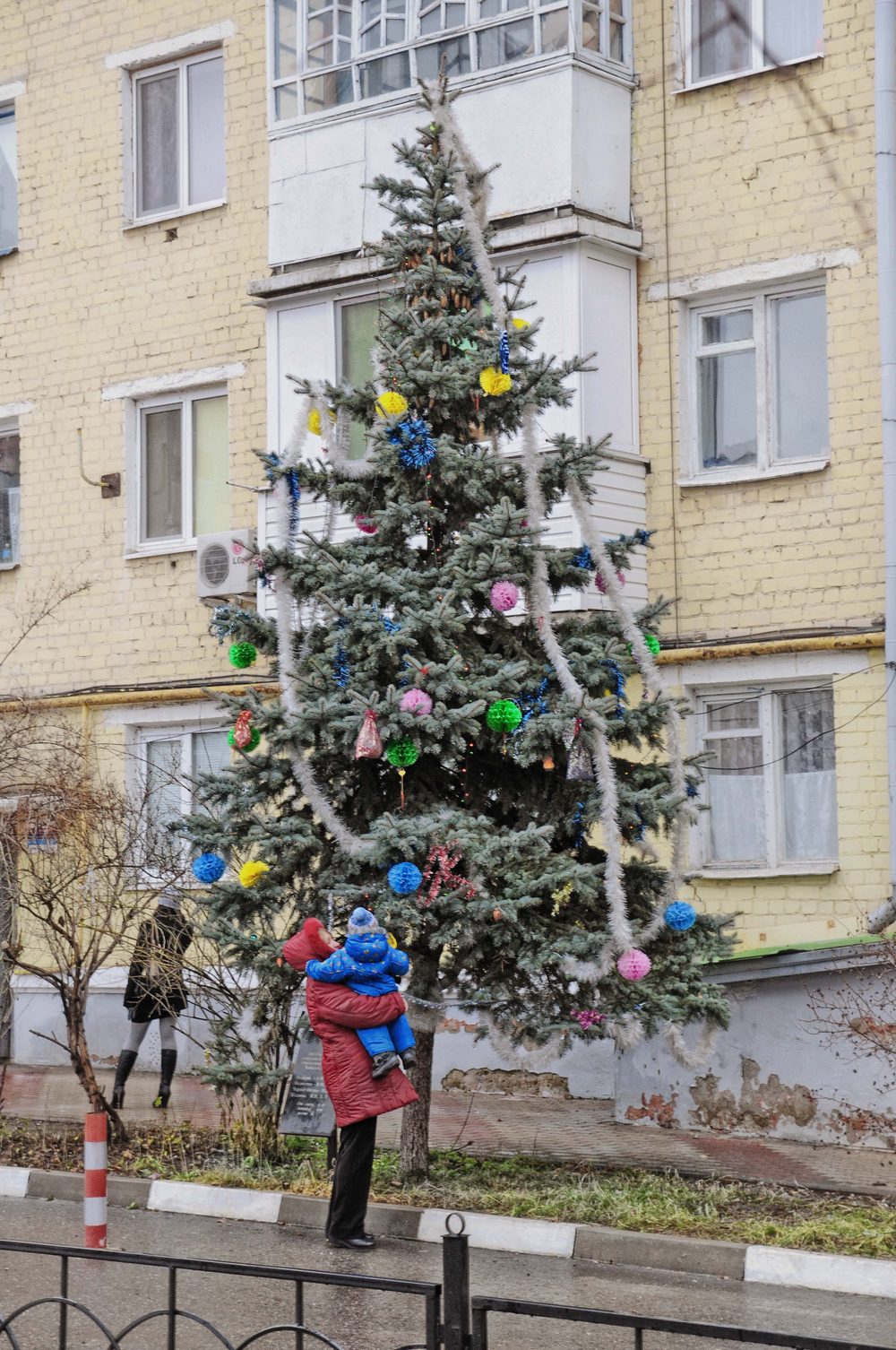 Елка в белгороде