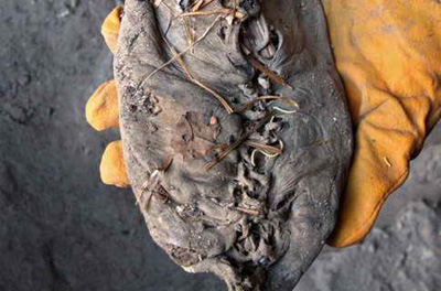 Самый древний в мире ботинок