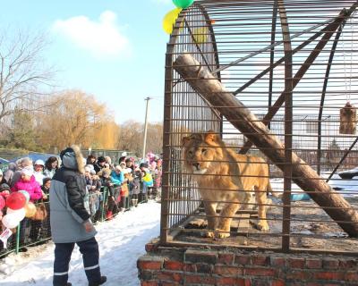 Визит к Бонапарту