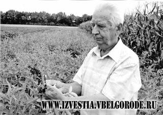Белгородские известия - Не отпускает поле хлебное